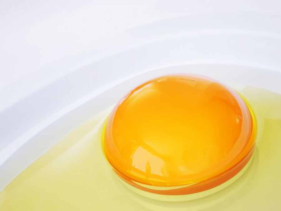 Maseczki do włosów jajecznych